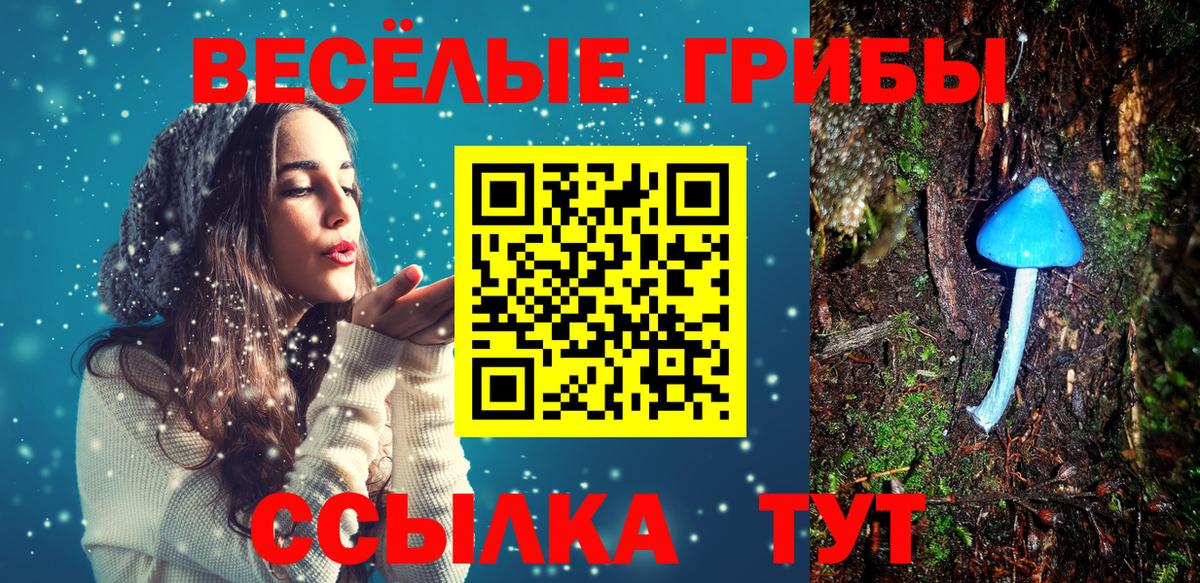 Псилоцибиновые грибы Psilocybine cubensis Электрогорск