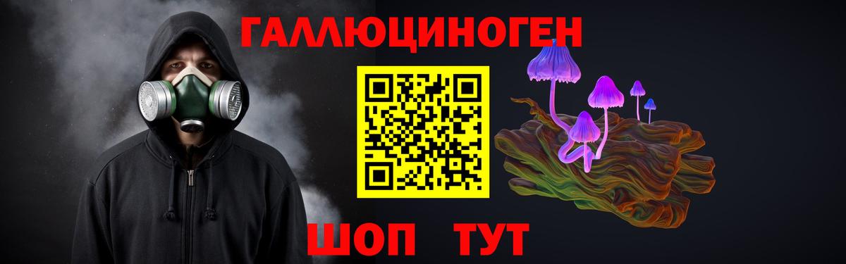 Псилоцибиновые грибы MAGIC MUSHROOMS  Вход с VPN  Электрогорск 